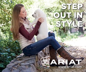 Ariat B (Cheshire Horse)