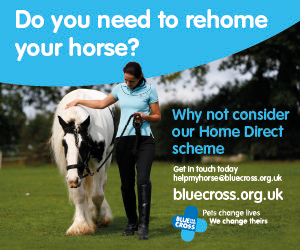 Blue Cross 2020 A (Cheshire Horse)