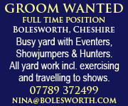 Bolesworth Groom (Cheshire Horse)