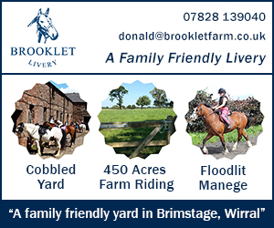 Brooklet Livery 24 (Cheshire Horse)