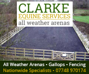 Clarke Equine Services  2018 (Cheshire Horse)