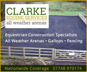 Clarke Equine Services  2020 (Cheshire Horse)