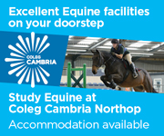 Coleg Cambria 4 (Cheshire Horse)