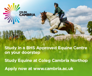 Coleg Cambria 12 (Cheshire Horse)