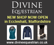 Divine Equestrian 2 (Cheshire Horse)