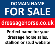 Domain Name for Sale (Cheshire Horse)