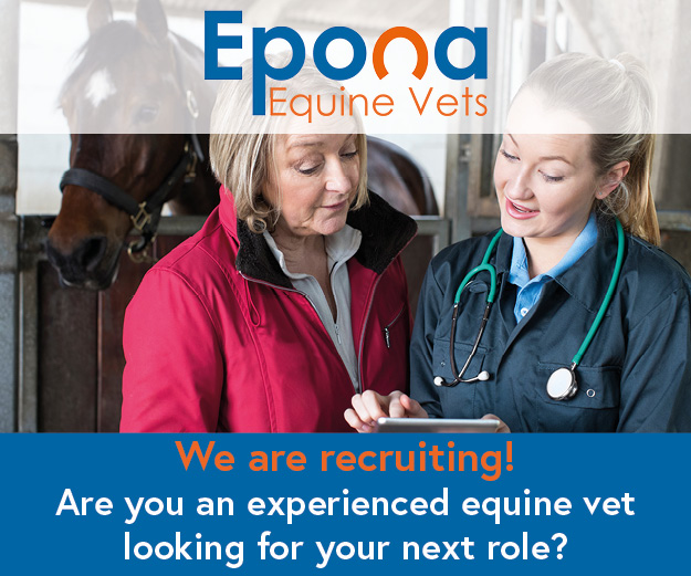 Epona Equine Vets Recruitment (Cheshire Horse)