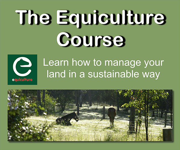 Equiculture 2021 (Cheshire Horse)