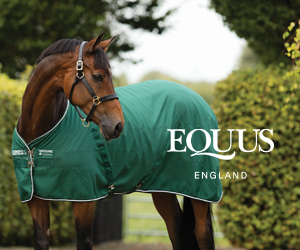 Equus (Cheshire Horse)