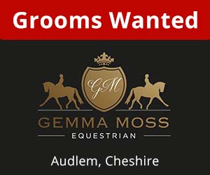 Gemma Moss Equestrian 01 (Cheshire Horse)