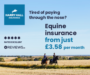 Harry Hall Insurance (Cheshire Horse)