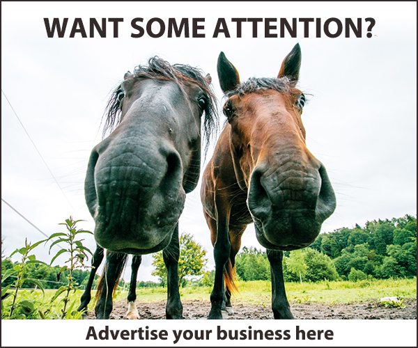 Advertise Here 2023 (Cheshire Horse)