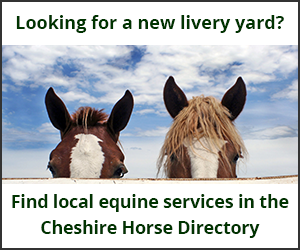 Livery Yards (Cheshire Horse)