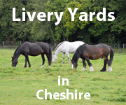 Livery Yards (Cheshire Horse)