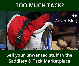 Saddles (Cheshire Horse)