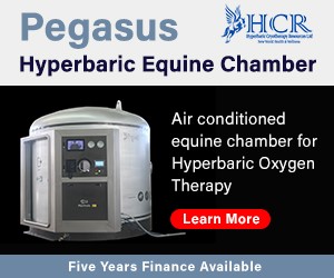 Pegasus Hyperbaric Equine Chamber (Cheshire Horse)
