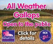 Kelsall Hill Gallops (Cheshire Horse)