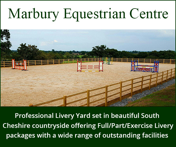 Marbury Equestrian Centre (Cheshire Horse)