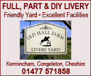 Old Hall Farm Livery 3 (Cheshire Horse)