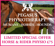 Pegasus Physiotherapy (Cheshire Horse)