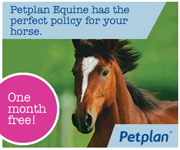 Pet Plan Equine 2 - 180x150 (Cheshire Horse)
