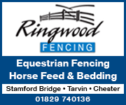 Ringwood Fencing 2 (Cheshire Horse)