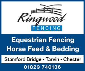 Ringwood Fencing 3 (Cheshire Horse)