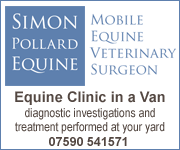 Simon Pollard Equine (Cheshire Horse)
