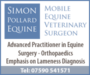 Simon Pollard Equine 8 (Cheshire Horse)