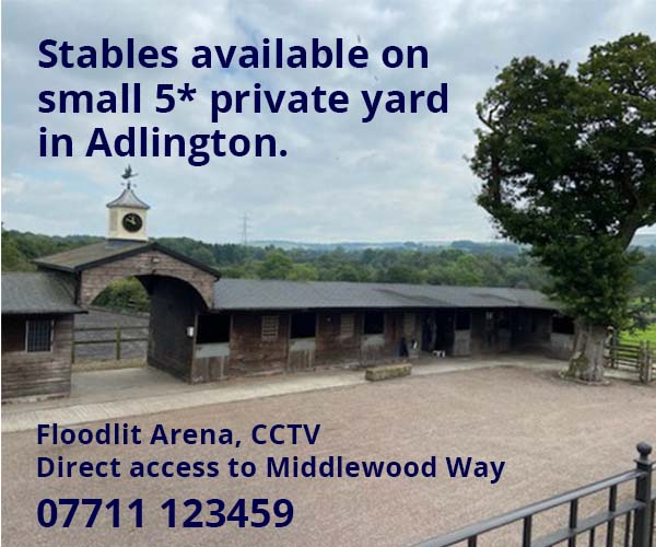 Springbank Stables 2023 (Cheshire Horse)