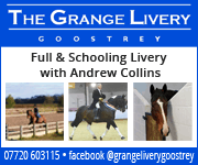 The Grange Livery 3 (Cheshire Horse)