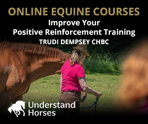 UH - Improve Your Positive Reinforcement Training (Cheshire Horse)