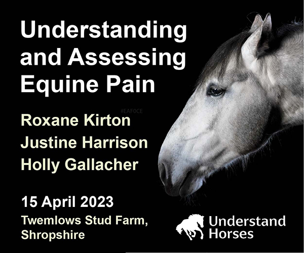 Pain Workshop (Cheshire Horse)