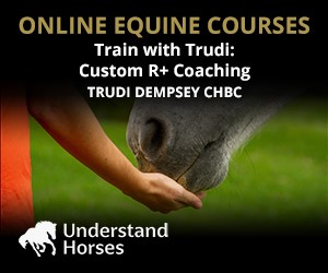 UH - Train With Trudi (Cheshire Horse)