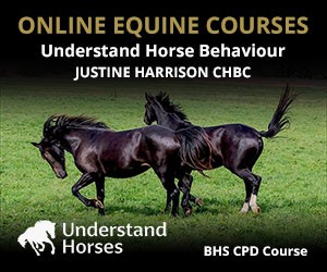 UH - Understand Horse Behaviour (Cheshire Horse)