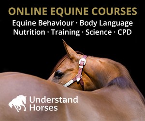 Understand Horses (Cheshire Horse)