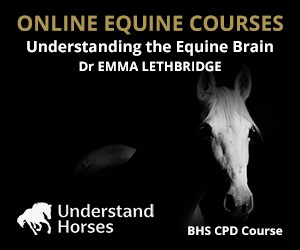 UH - Understanding The Equine Brain (Cheshire Horse)