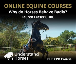 UH - Why Do Horses Behave Badly (Cheshire Horse)
