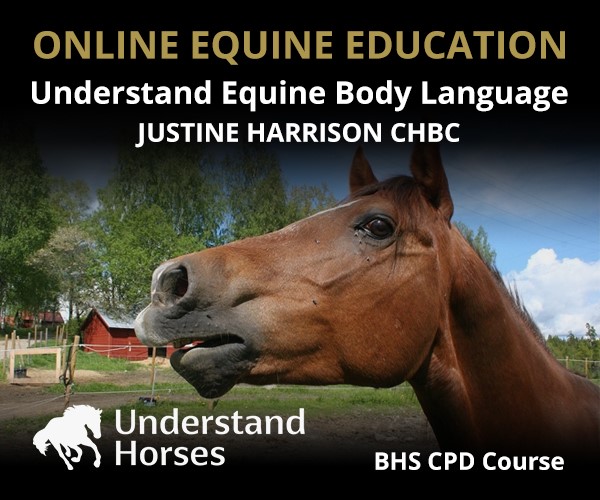 UH - Understand Equine Body Language (Cheshire Horse)