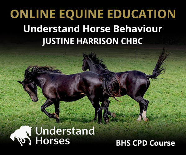 UH - Understand Horse Behaviour (Cheshire Horse)