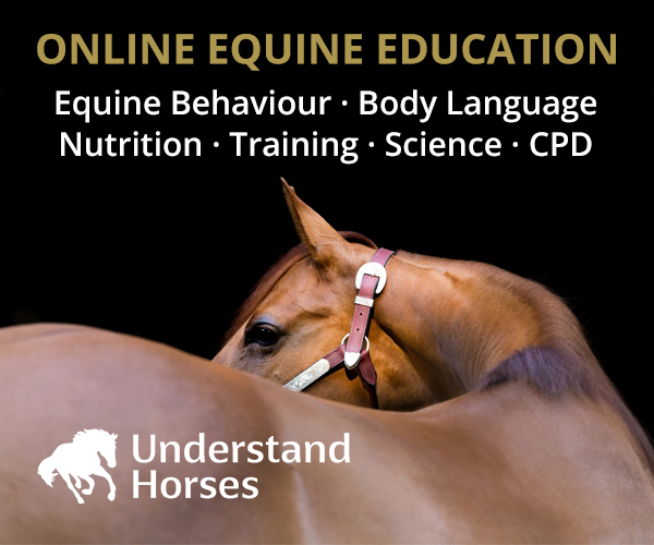 Understand Horses (Cheshire Horse)