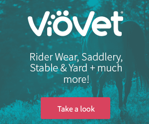Viovet B (Cheshire Horse)