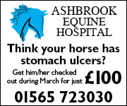 Ashbrook Equine Hospital 3 (Cheshire Horse)