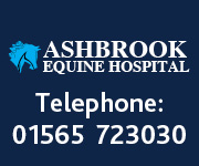 Ashbrook Equine Hospital 6 (Cheshire Horse)