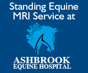 Ashbrook Equine Hospital 6d (Cheshire Horse)